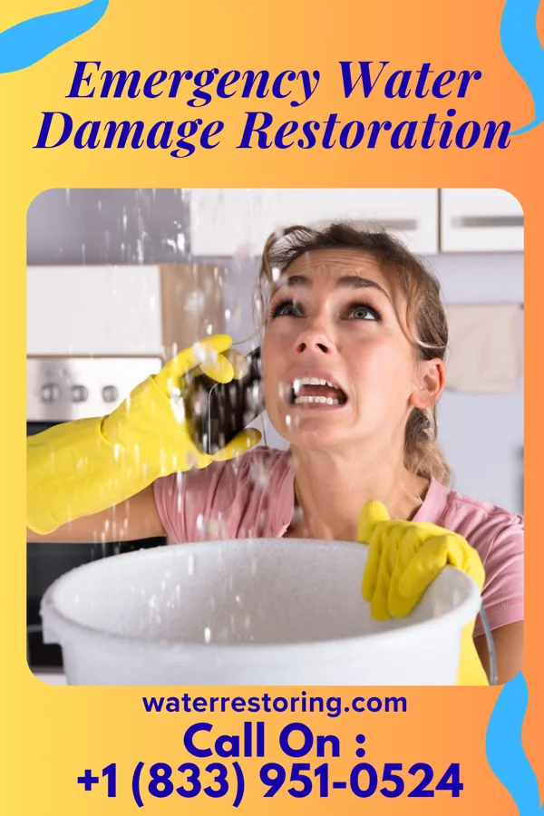 Emergency Water Damage Restoration in Brownsville, WI